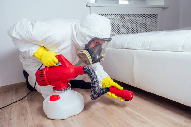 Best Best Pest Control Companies  in Whitehouse, TX